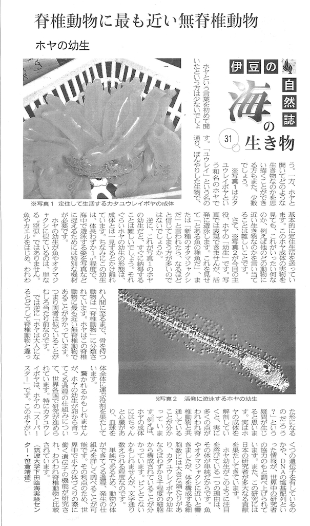 2015年3月29日付　伊豆新聞掲載記事