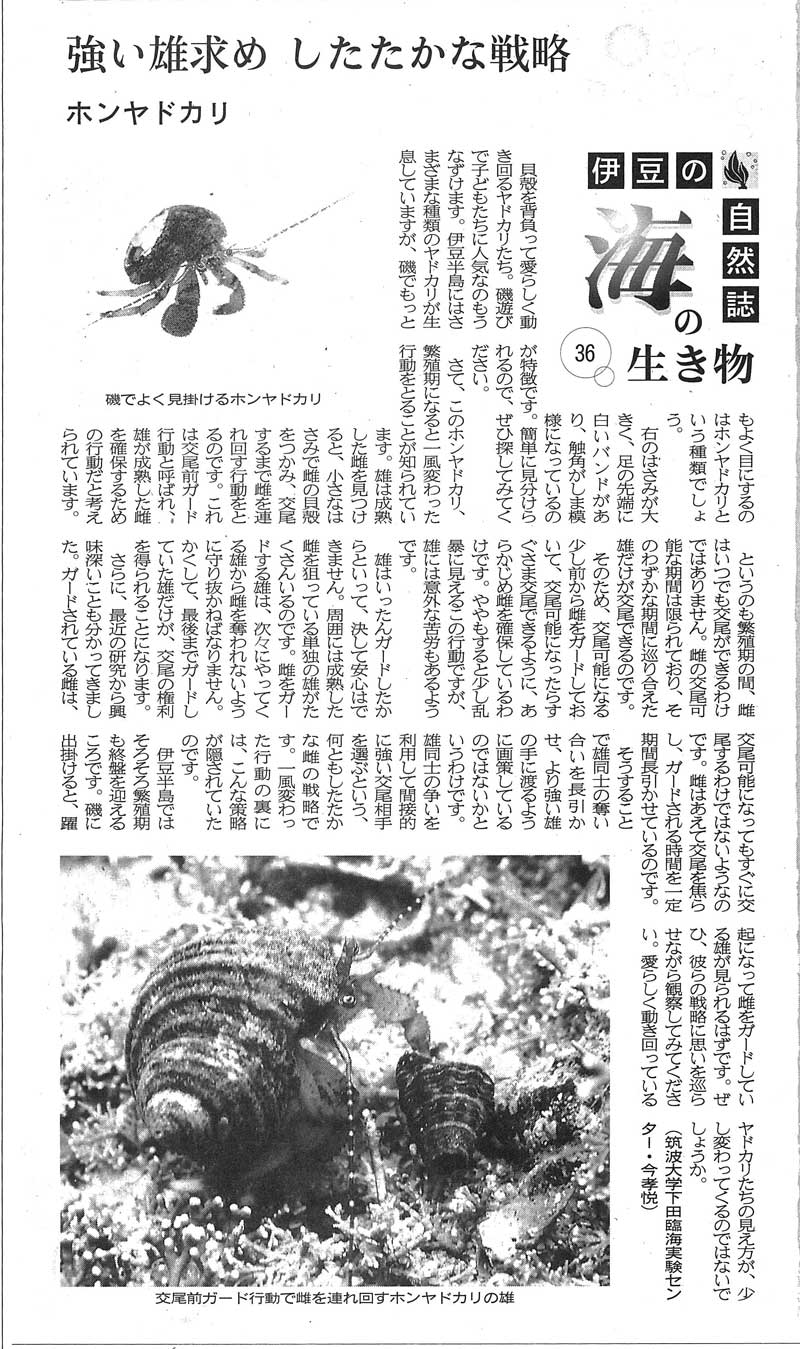 伊豆新聞　2015年5月3日付掲載記事
