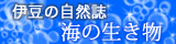 伊豆の自然誌　海の生き物