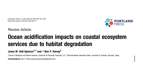 Publication 11