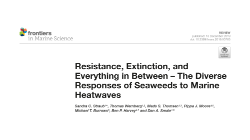 Publication 13