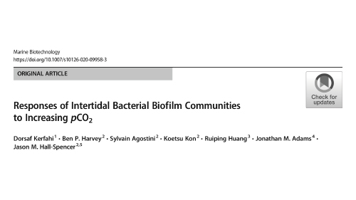 Publication 15