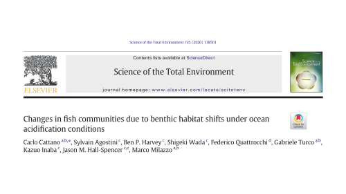 Publication 19