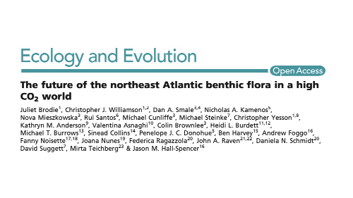 Publication 2