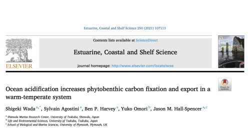 Publication 21