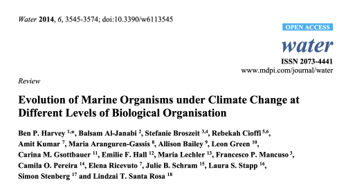 Publication 3