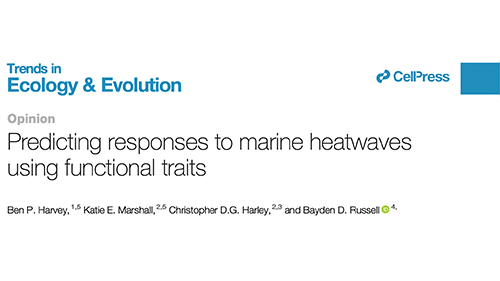 Publication 31