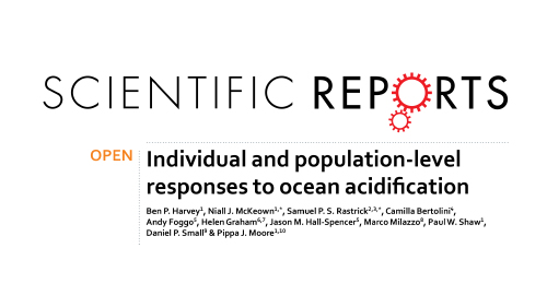 Publication 4