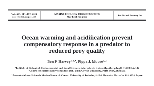Publication 5