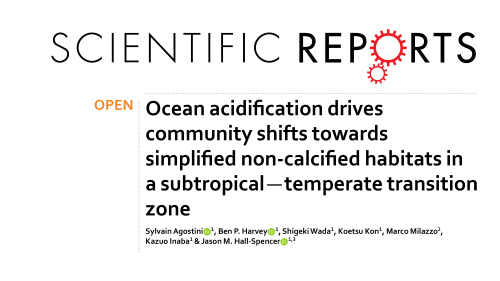 Publication 6